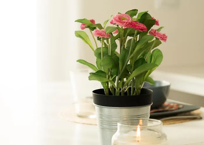 Indipendente A Due Passi Dal Mare Cervia