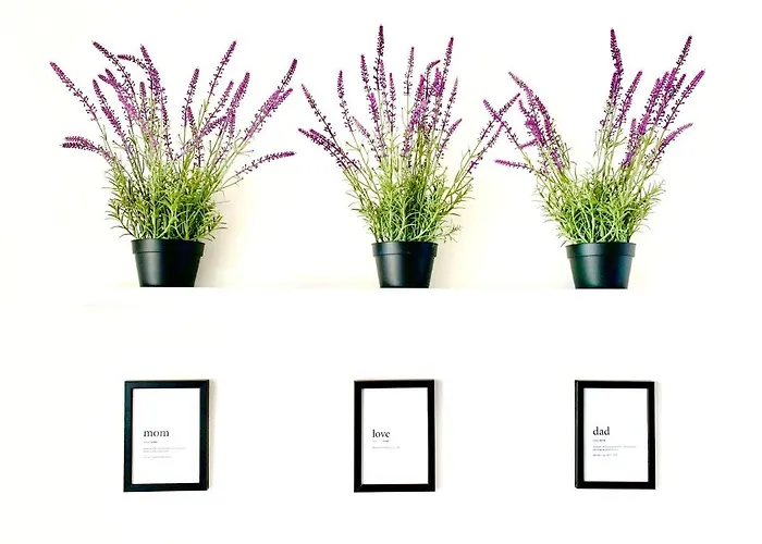 Indipendente A Due Passi Dal Mare Apartmán Cervia