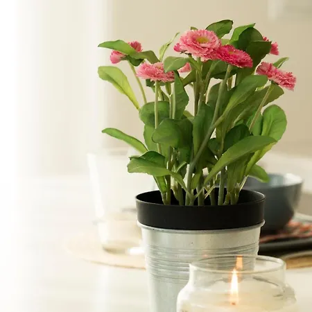 Indipendente A Due Passi Dal Mare Cervia